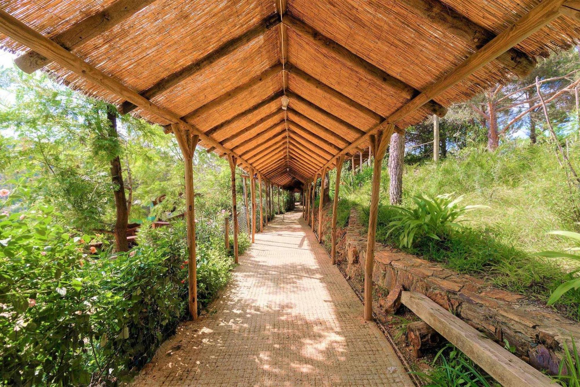 Parque Da Mina Hotel Monchique Ngoại thất bức ảnh